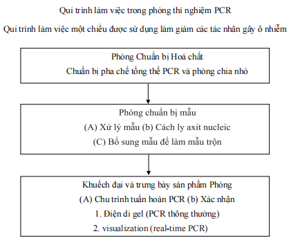 Hệ thống phòng khuếch đại và lọc không khí